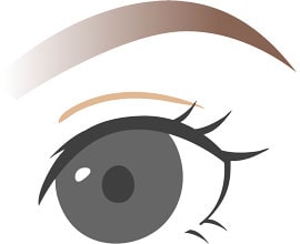 3D(毛並みなし)の眉アートメイク