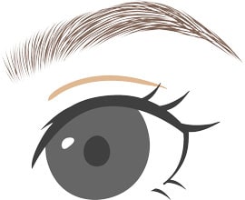4D(毛並み＋パウダー)の眉アートメイク